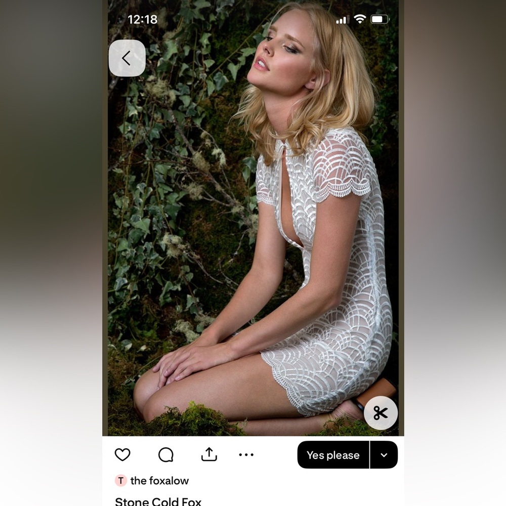 Stone Cold Fox Cream Lace Dress